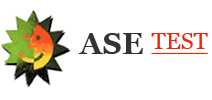 ASE Test Logo